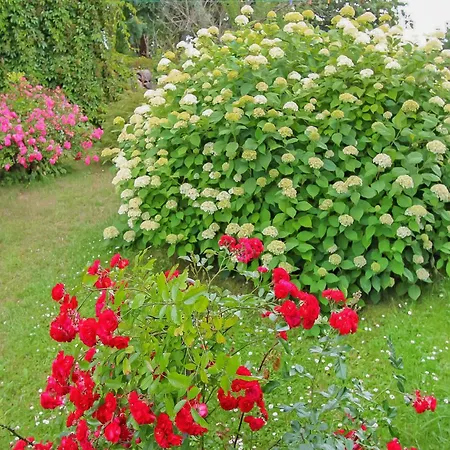 Ferienhaus Blankensee